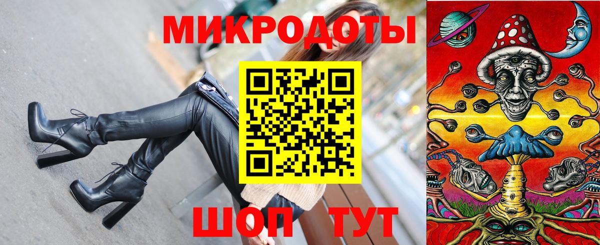 Псилоцибиновые грибы Psilocybe Орёл
